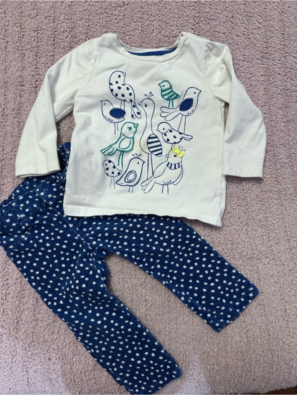 🐦 Gymboree Bird Top & Polka Dot Corduroy Pants Set 12-18M *